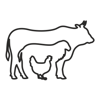 Climate-Resilient Crop Varieties